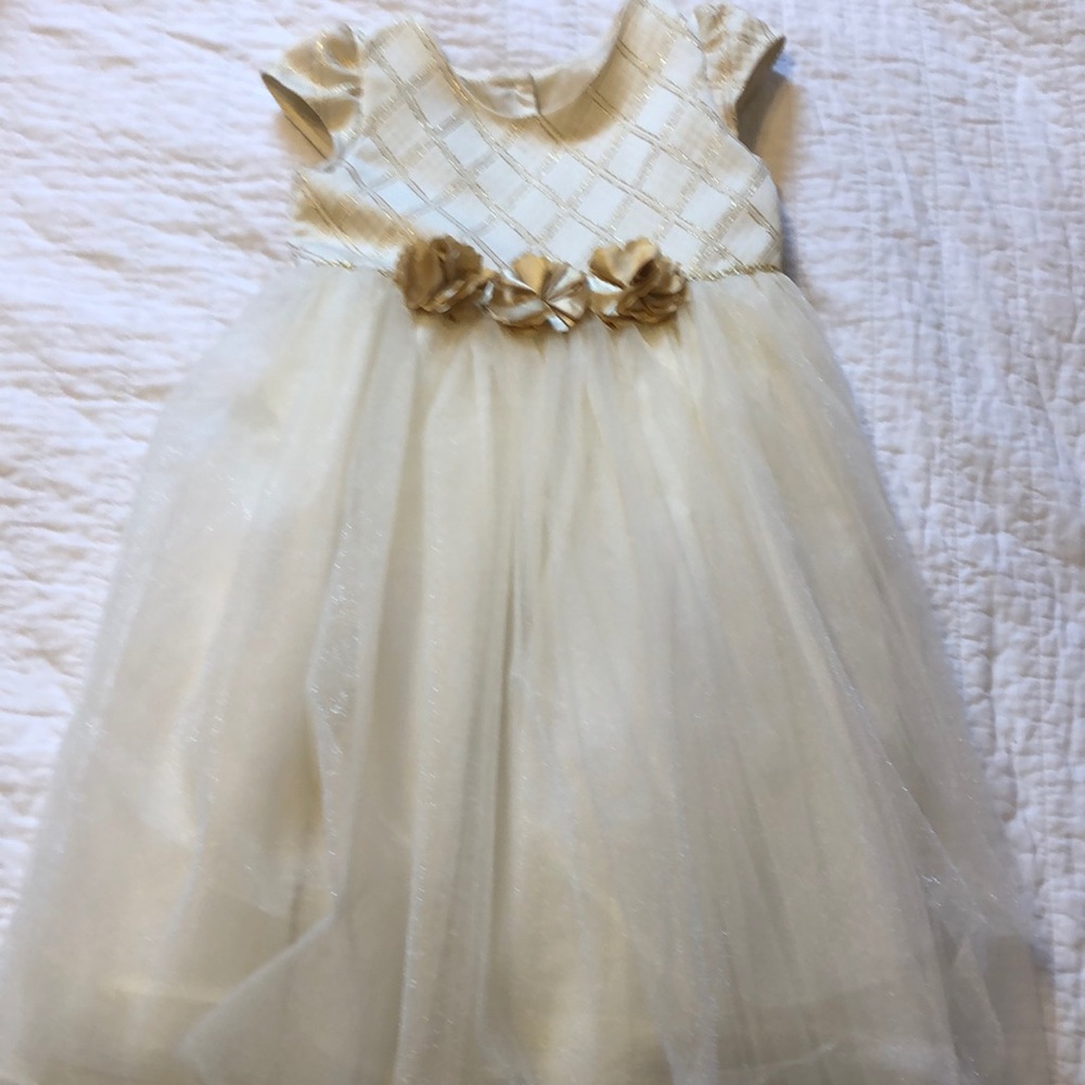Fancy girls dress.